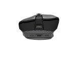 GENESIS Zircon 880 Pro Maus Gaming Rechts RF Wireless + Bluetooth + USB Type-C Optisch 30000 DPI