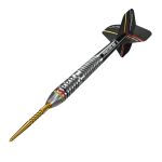 Precise180 - Steeldarts Ricardo Pietreczko - 25gr.