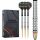 Precise180 - Steeldarts Ricardo Pietreczko - 25gr.