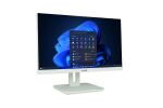 Y TERRA ALL-IN-ONE-PC 2420HA V2 wh GREENLINE
