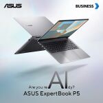 ASUS ExpertBook P5 14" U5-226V   16 512  P5405CSA-NZ0101 ohne OS