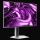 LC-Power LC-M27QO Computerbildschirm 67,3 cm (26.5") 2560 x 1440 Pixel Quad HD Weiß
