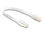 DELOCK RJ45 Flachband Patchkabel Cat.8.1 U/FTP 40Gbps, 0,25m