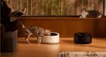 Petlibro Polar Futter-/Wasserspender für Hunde/Katzen Schwarz Katze Haustierfutterautomat