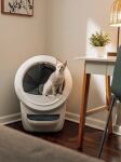 Litter-Robot 4 Katze Roboter-Klosett Weiß