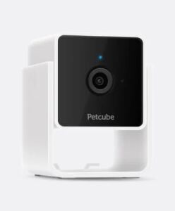 PETCUBE PET CAM