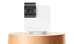 Petcube Cam 360 Box IP-Sicherheitskamera Drinnen 1920 x 1080 Pixel Tisch/Bank