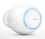 Fibaro FGT-001 ZW5 EU