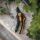 Fiskars Plus SmartFit Bypass-Gartenschere P541