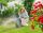 Gardena Robotic Lawn Mower SILENO MInimo 350qm 15208-47 1520847 (15208-47)