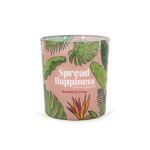 Duftkerze Minions Spread Happiness - 110g