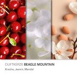 Duftkerze Peanuts Beagle Mountain - 250g