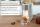 Unold EXPRESS HEIßWASSERBEREITER Ava weiß 18610