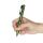 OLIGHT Taschenlampe Open 3 Class 1 OD Green