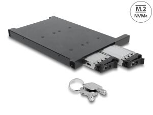 DeLOCK Wechselrahmen für 2 x M.2 NMVe SSD mit SFF-8654 Anschluss für 12,7 mm Slim ODD Schacht