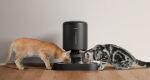 Petlibro Granary Smart Futter-/Wasserspender für Hunde/Katzen Schwarz Katze Haustierfutterautomat