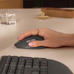 Logitech Signature Comfort Plus M850 L Maus Universal rechts RF Wireless + Bluetooth Optisch 4000 DPI