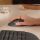 Logitech Signature Comfort Plus M850 L Maus Universal rechts RF Wireless + Bluetooth Optisch 4000 DPI