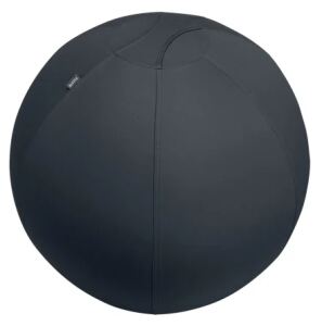 Leitz Active Sitzball 65cm Sitting ball Grau