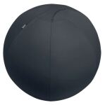 Leitz Active Sitzball 65cm Sitting ball Grau