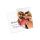 HP Mattes Fotopapier, 180 g/m2, 10 x 15 cm (101 x 152 mm), 25 Blatt