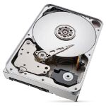 Seagate IronWolf Pro ST12000NT001 Interne Festplatte 12 TB 7200 RPM 256 MB 3.5" Serial ATA III