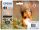 Epson Squirrel Multipack 6-colours 378 Claria Photo HD Ink