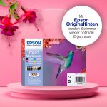 Epson Hummingbird Singlepack Light Magenta T0806 Claria Photographic Ink