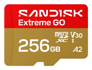 SanDisk Extreme GO 256 GB MicroSDXC UHS-I