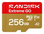 SanDisk Extreme GO 256 GB MicroSDXC UHS-I