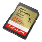 SanDisk Extreme GO 256 GB SDXC UHS-I