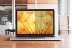 3M Bright Screen Blickschutzfilter für Dell™ Multi-line Laptops 15.6in, 16:10, BPNDE003