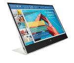 HP E-Series E14 G4 Tragbarer Monitor