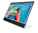HP E-Series E14 G4 Tragbarer Monitor