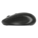 Targus AMB582GL Maus rechts RF Wireless + Bluetooth Optisch 2400 DPI