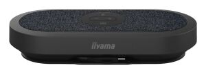iiyama WP-MEET03M Kabelloses Präsentationssystem USB Typ-C Desktop