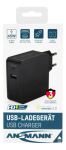 Ansmann 247PD Universal Schwarz AC Schnellladung Drinnen