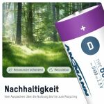 Ansmann 1314-0005 Haushaltsbatterie Wiederaufladbarer Akku D Lithium-Ion (Li-Ion)
