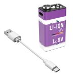 Ansmann 1315-0005 Haushaltsbatterie Wiederaufladbarer Akku 9V Lithium-Ion (Li-Ion)