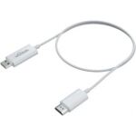 VIVITEK Drathloser Display-Empfänger Dongle Full HD
