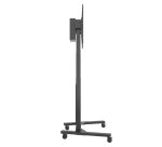 B-Tech BT8558 2,54 m (100") Schwarz