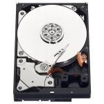 Western Digital Blue Interne Festplatte 500 GB 7200 RPM 32 MB 3.5" Serial ATA III