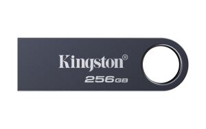 Kingston Technology DataTraveler 256GB SE9 G3 - Dunkles Nickel