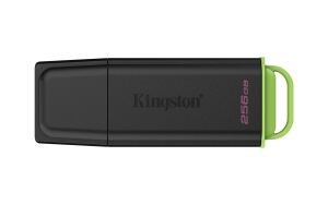Kingston Technology DataTraveler 256GB Tragbarer USB 3.2 Gen 1 Exodia Schwarz + Grün
