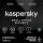 Kaspersky KL4541XDQFS Software-Lizenz/-Upgrade 50 Lizenz(en) 1 Jahr(e)