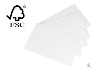 Evolis C2501 Karton/Bastelpapier 500 Blätter