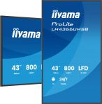 iiyama LH4366UHSB-B1AG Signage-Display Digital Signage Flachbildschirm 109,2 cm (43") LCD WLAN 800 cd/m² 4K Ultra HD Schwarz Eingebauter Prozessor Android 24/7