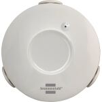 Brennenstuhl Zigbee Wassermelder