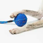 CHEERBLE WICKED BALL AIR ROPE-ROYAL BLUE