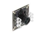 DELOCK USB 2.0 Kameramod Global Shutter s/w 0,92 MP 65° V6